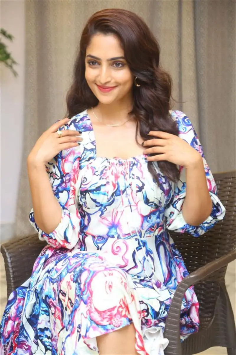 Telugu Actress Reba Monica John at Samajavaragamana Movie Interview